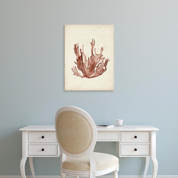 Easy Art Prints Naomi McCavitt's 'Seaweed Specimens VII' Premium Canvas Art