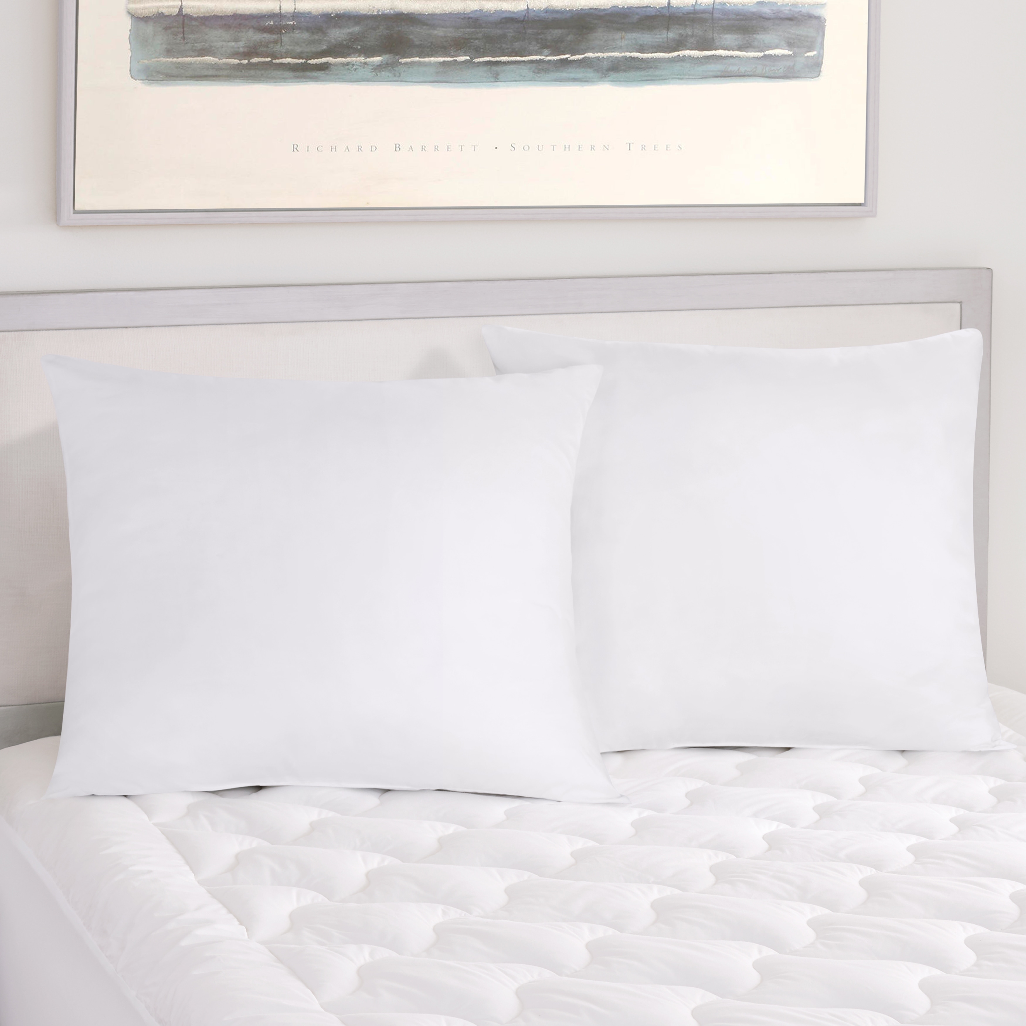 Regal Sham Insert Euro Pillow 2 Pack - White