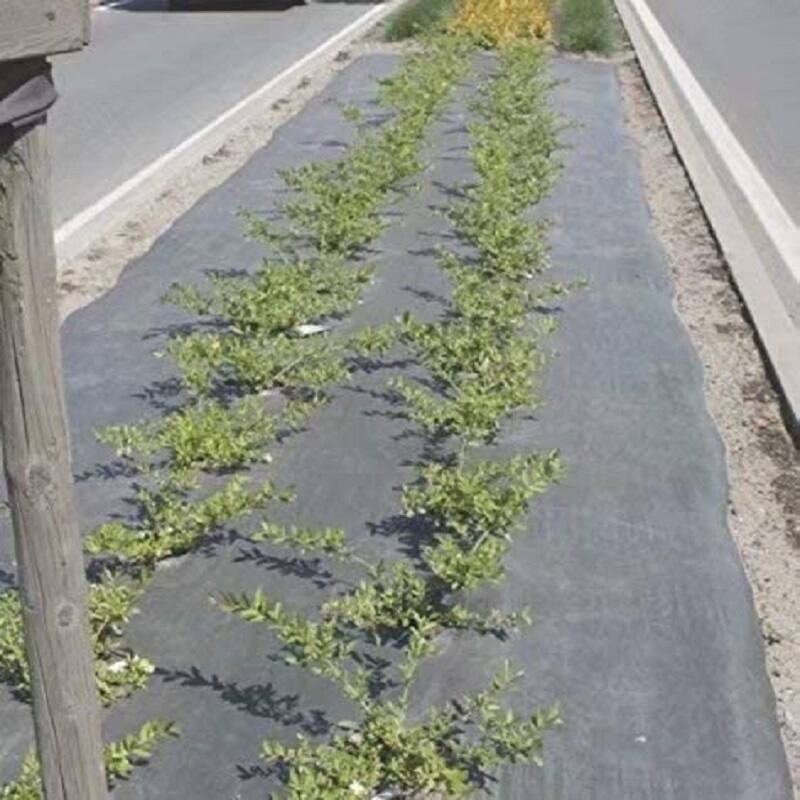 Agfabric Weed Barrier with Holes Landscape PP Woven Weed Block, 3.0oz