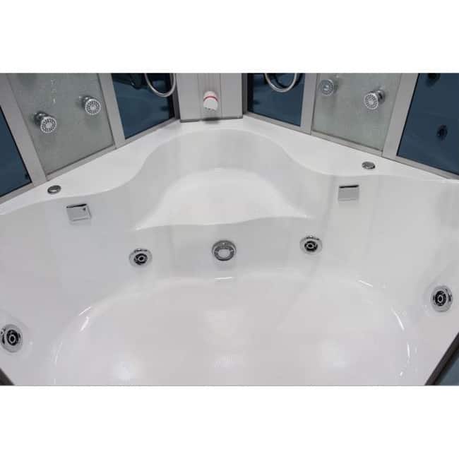 Mesa 701A Steam Shower