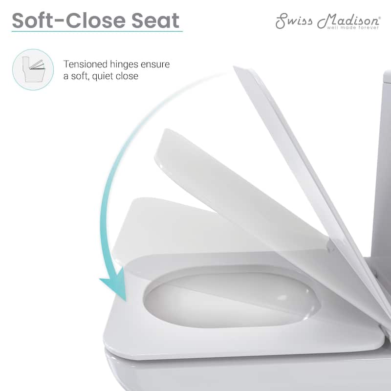 Brusque One-Piece Square Toilet Dual-Flush 1.1/1.6 gpf