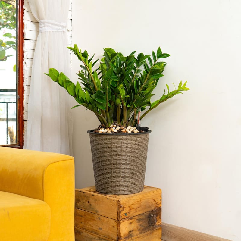 13 inch Wicker Self-watering Planter