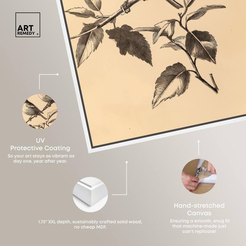 Pair of Finches I Canvas by Art Remedy