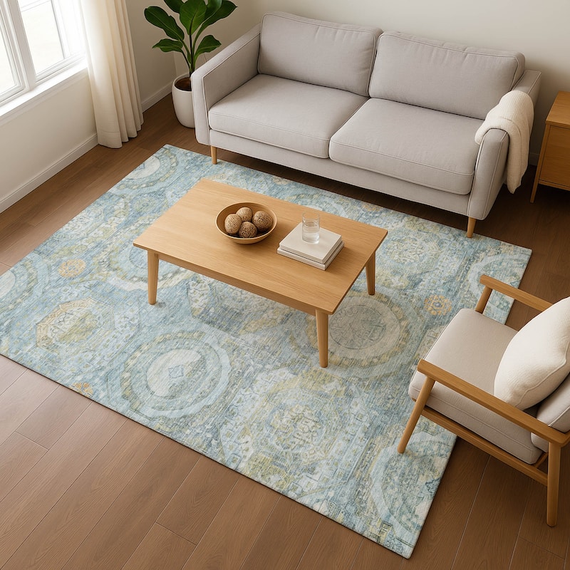 Premium Washable Super Soft Vintage Medallions Mayfield Rug