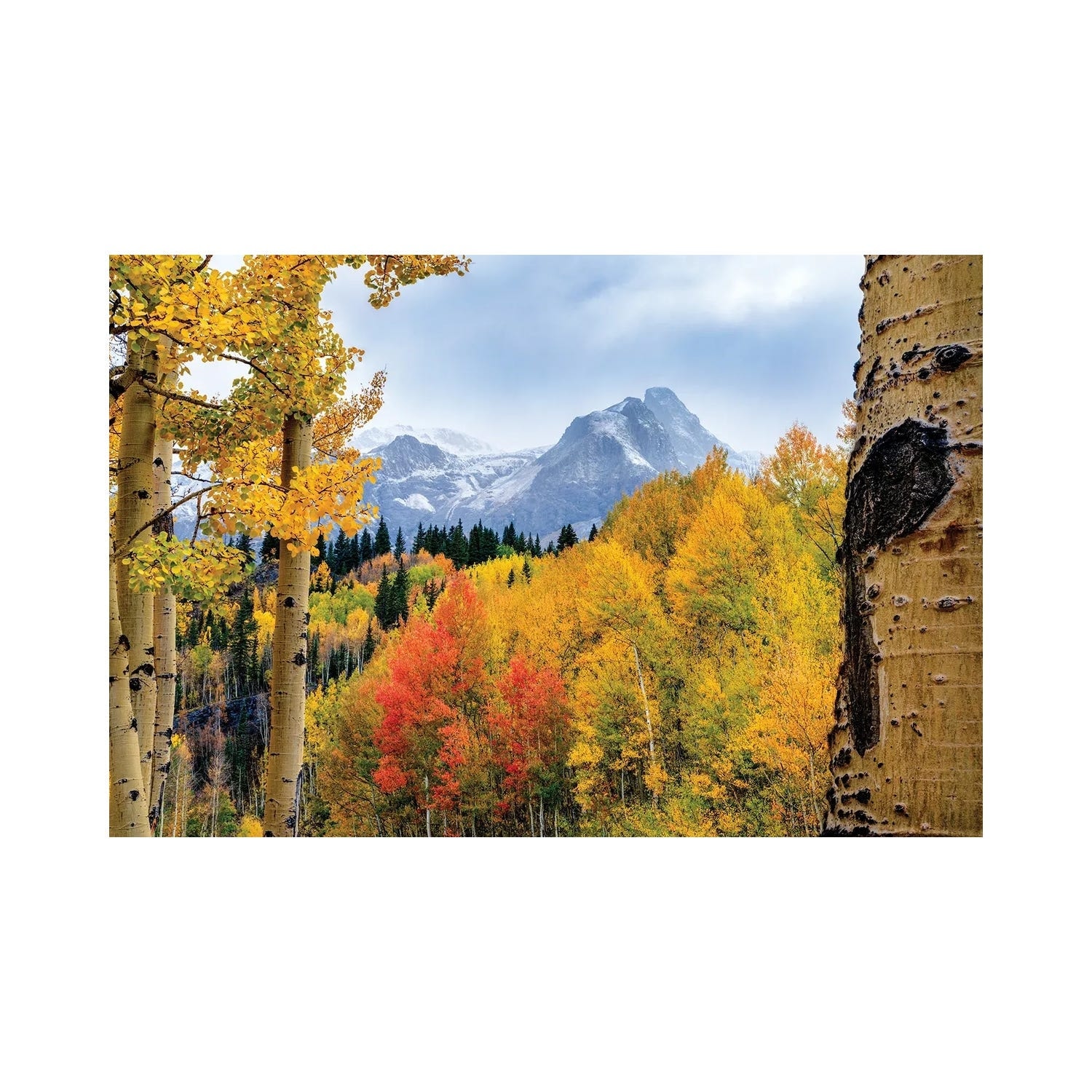 "San Juan Mountains Fall Colors - Colorado Autumn Scenery" by Daniel Forster Canvas Print