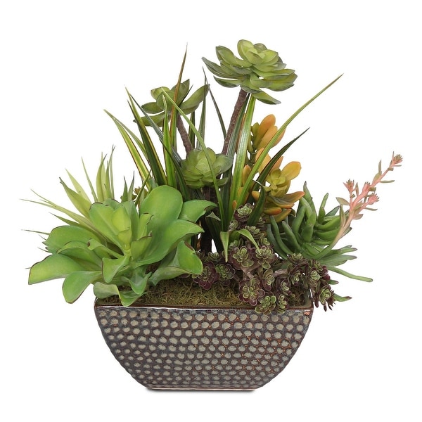 Artificial Succulents in Square Green Ceramic Pot - 13W x 11D x 12H. Opens flyout.