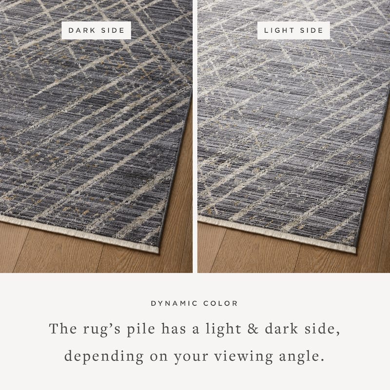 Alexander Home Bradley Modern Micro Fringe Area Rug