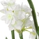 preview thumbnail 3 of 1, Uttermost Lacey Daffodil Accent Arrangement