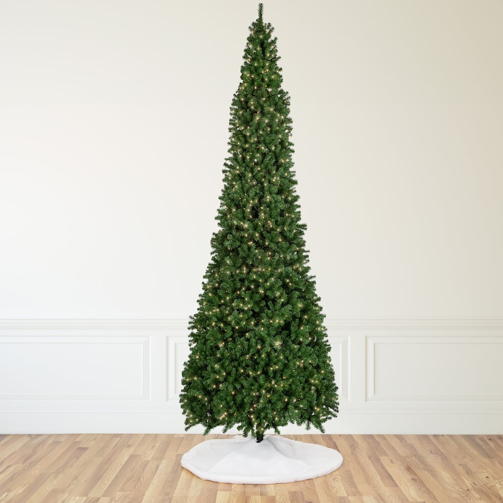 16' Pre-Lit Pendleton Spruce Slim Artificial Christmas Tree Clear Lights