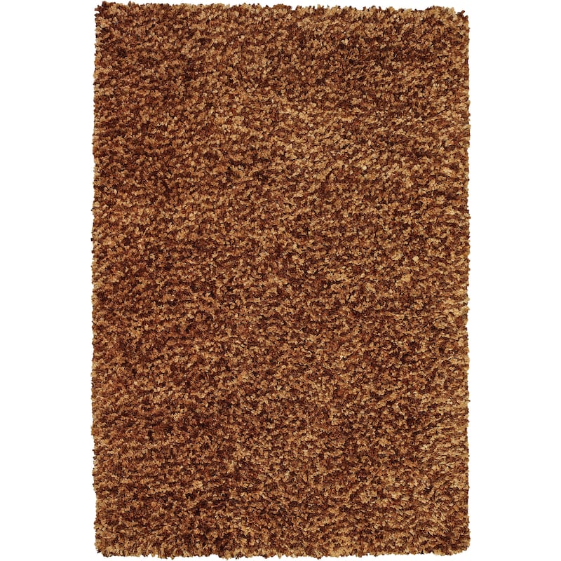 Addison Alpha Lavish Variegated Shag Area Rug - 2'x3"X7'6" - Earth