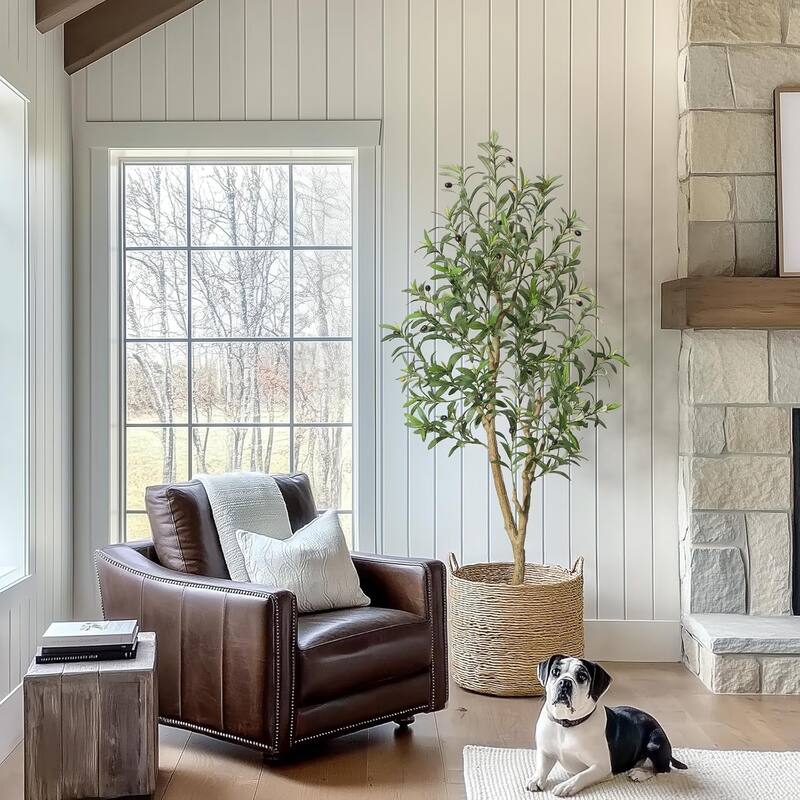 Olive Trees Artificial Indoor, 5ft Tall Faux Silk Plant with White Planter