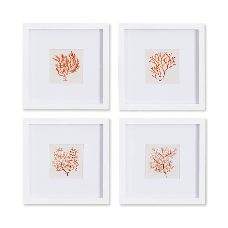Branch Coral Petite Prints, Set Of 4