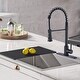 preview thumbnail 8 of 14, DORNBERG Spring Pull Down Kitchen Sink Faucet with Deck Plate