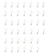 Option G16.5 Candelabra (E12)