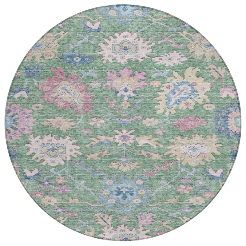 Machine Washable Indoor/ Outdoor Causal Traditional Chantille Rug