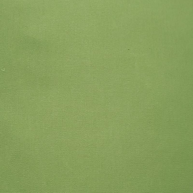 Sunbrella Ginko Green Throw Pillow