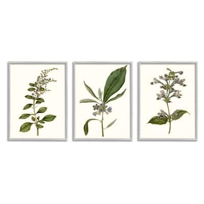 Stupell Minimal Blue Botanical Study Over Neutral Beige, 3pc Multi Piece Framed Wall Art Set