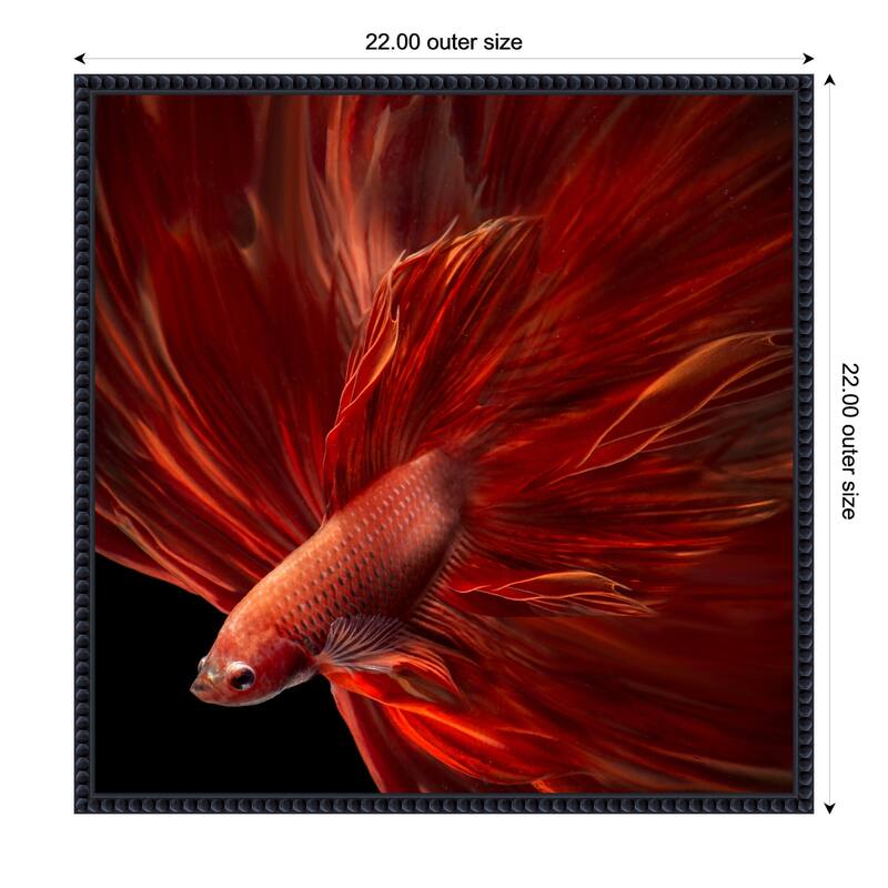Red Fire Betta fish by Antonyus Bunjamin Framed Canvas Wall Art Print - 22 x 22 in