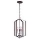 preview thumbnail 1 of 2, Provident 4-Light Chandelier