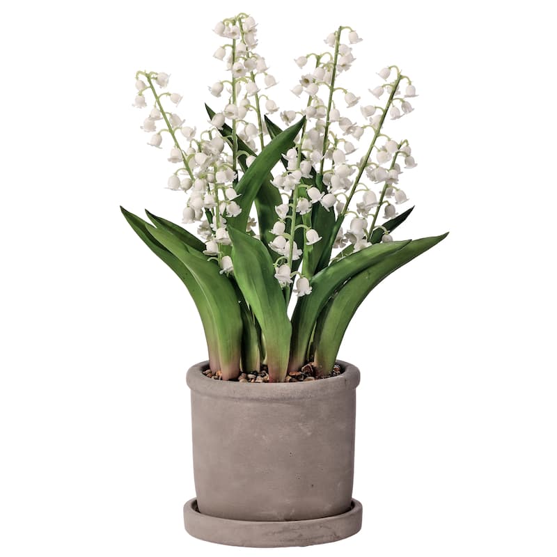 12" Potted Lily Of The Valley