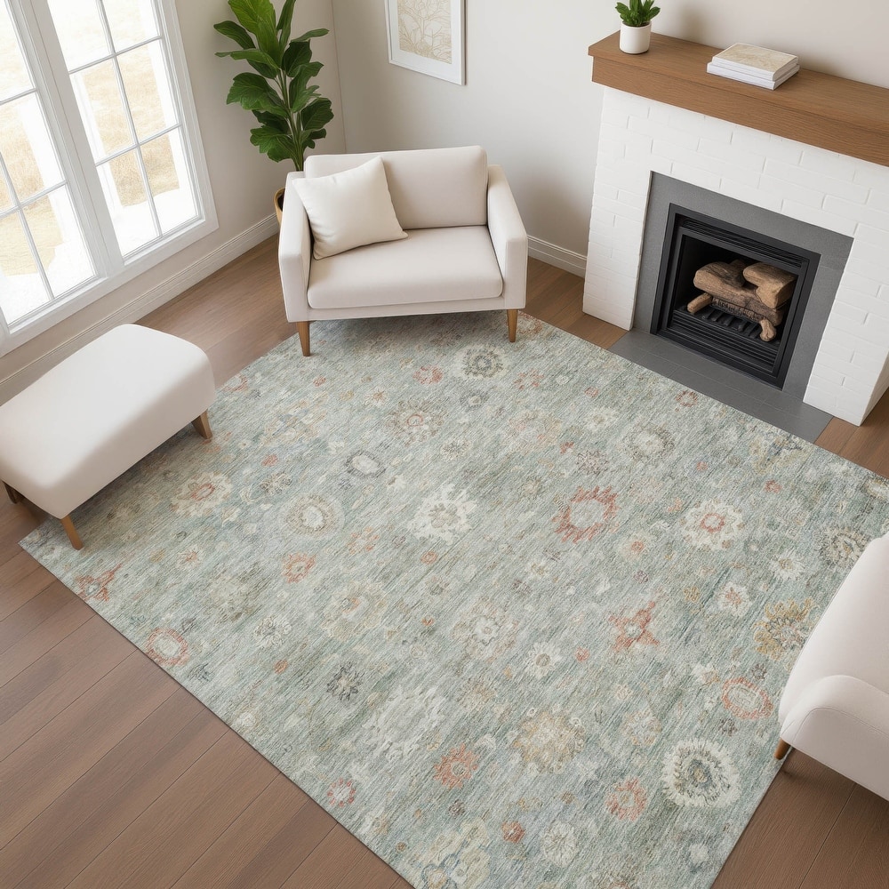Premium Washable Super Soft Vintage Traditional Mayfield Rug