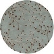 preview thumbnail 98 of 196, Sakura Handmade Transitional Floral Wool Area Rug 6' Round - Sage - Runner/Round