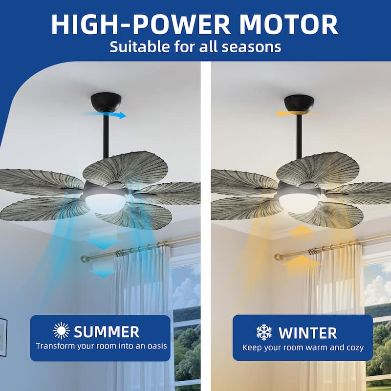 Moasis 52" Tropical Ceiling Fans Collection with Remote