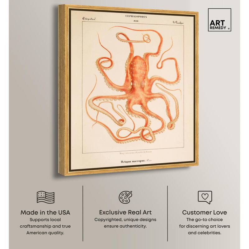 Verany The Octopus 1815 I Canvas by Art Remedy