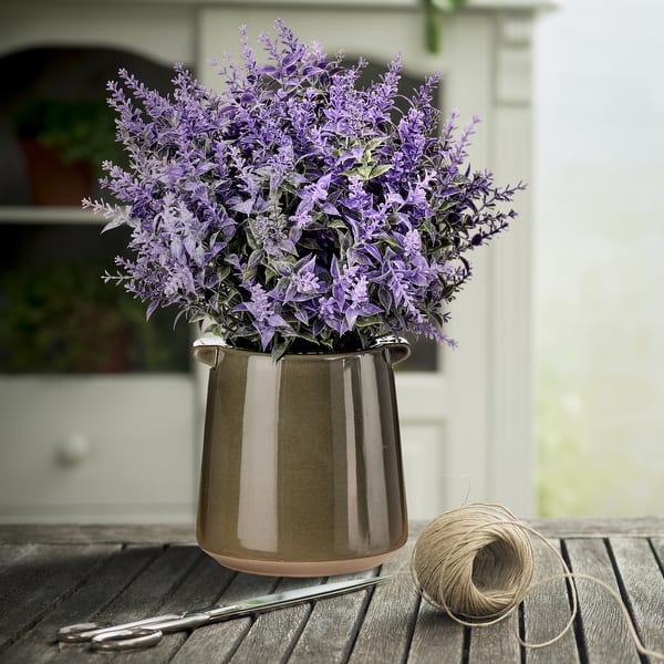 planting forget me not seeds Bulk Forget Me Not Seeds