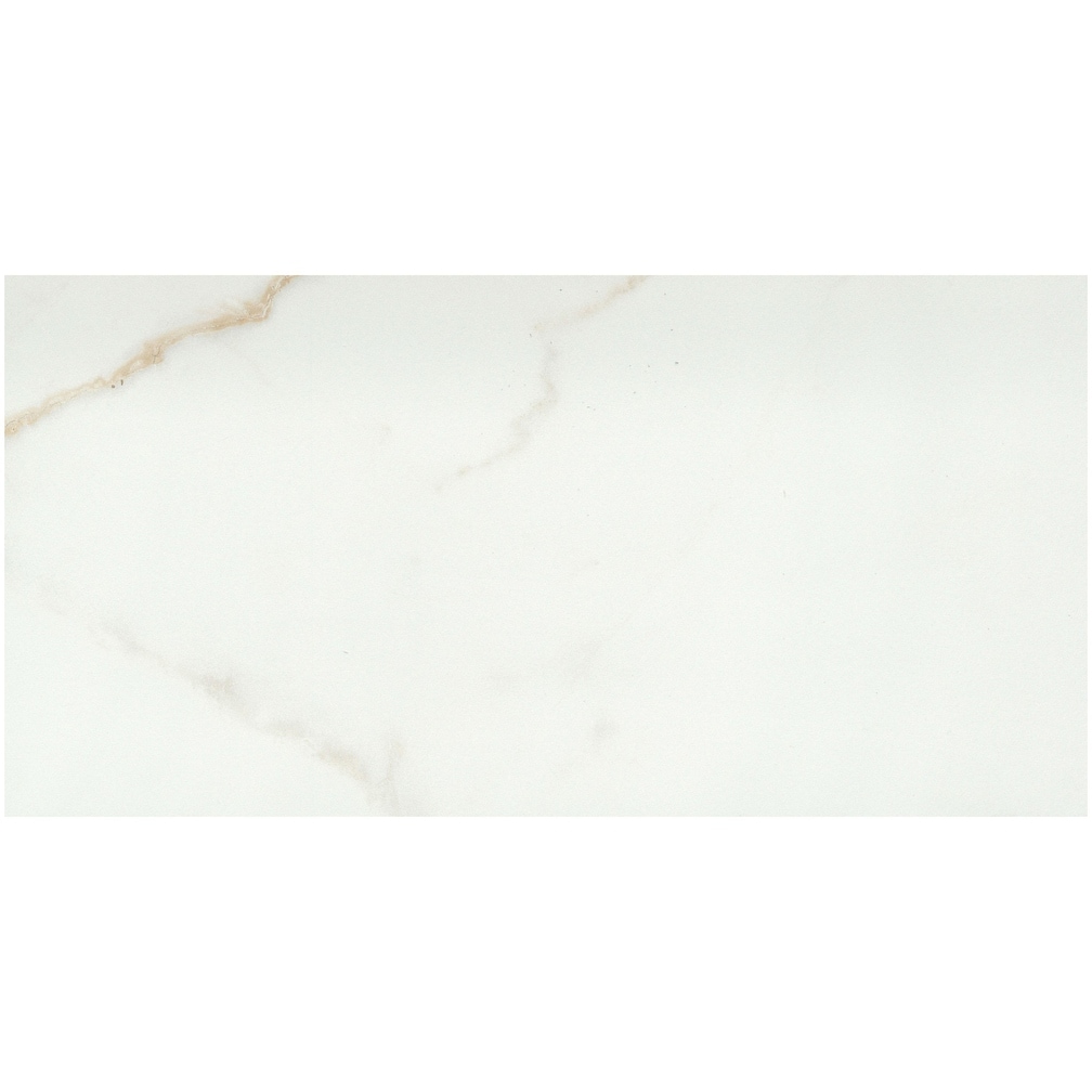 Emser Tile F20VISC1224M Visconde - 12" x 24" Floor and Wall Tile -