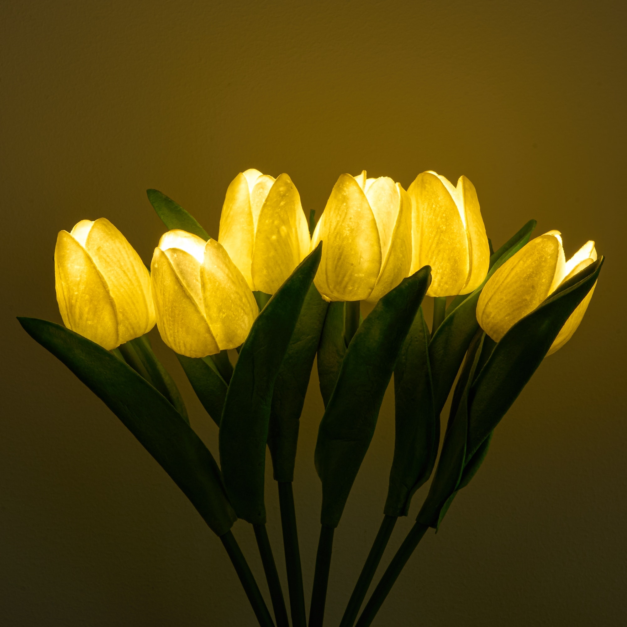 Tulip led outlet