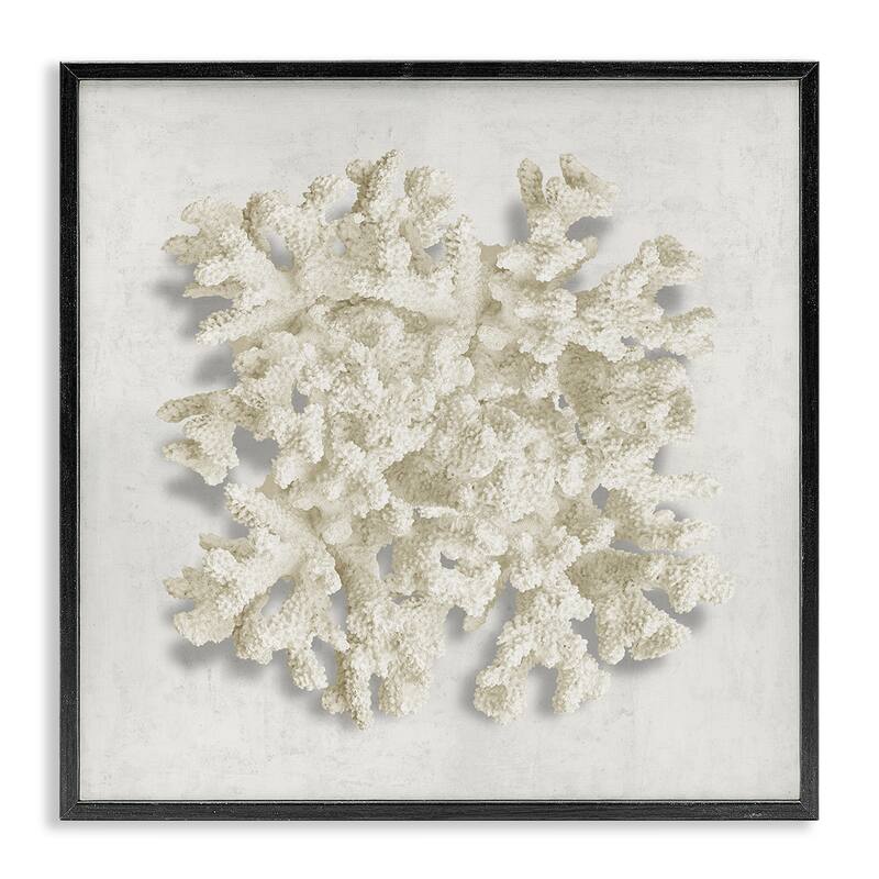 Stupell Aquatic Neutral Coral Framed Giclee Art Design By Caroline Kelly - 24 x 24 - Black