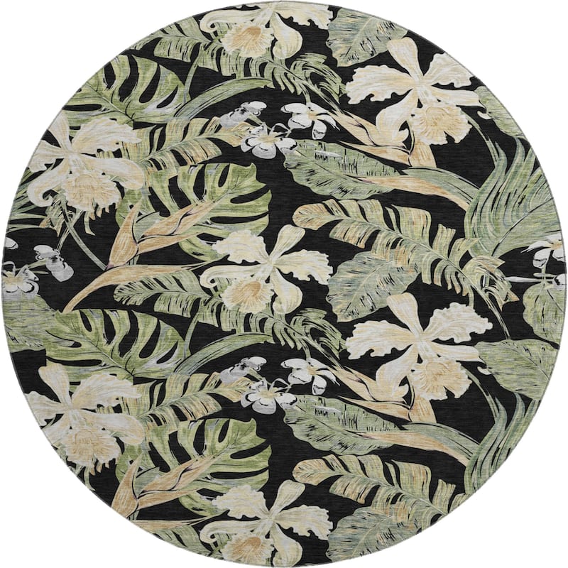 Premium Washable Super Soft Tropical Paradise Mayfield Rug