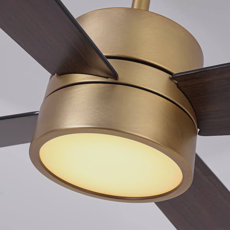 52" Black/ Distressed Brass Dimmable RGB Smart Ceiling Fan with Light and Remote, App Control