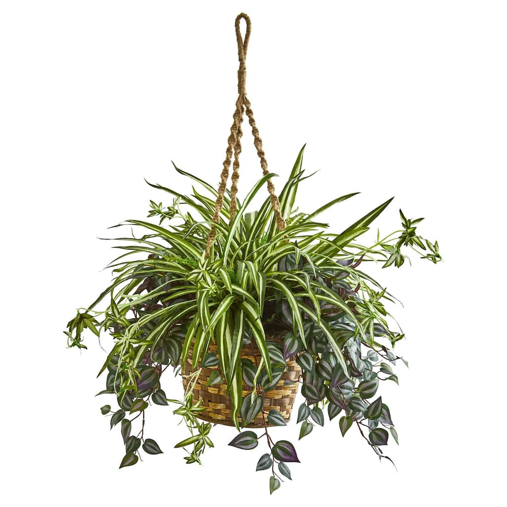 Artificial Hanging Plant - City Chic Spider Plant with Basket - 30 Inch Tall Greenery Decor - Green