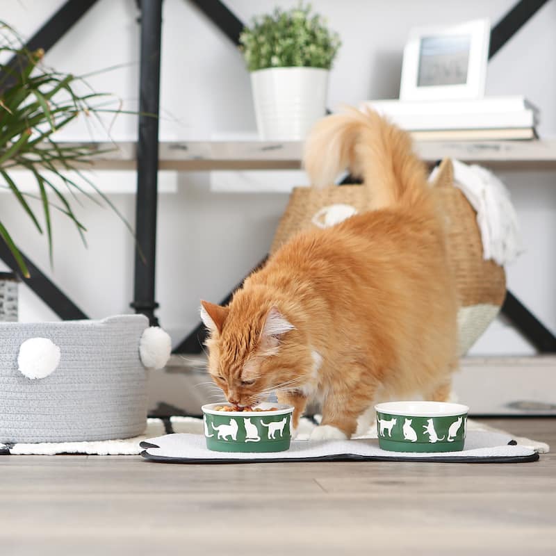 Bone Dry Pet Bowl Cats Meow (Set of 2)
