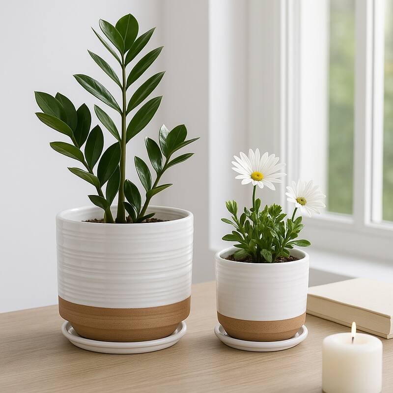 Ceramic Circular Saucer Planters Set of 2 - 6/8 in.