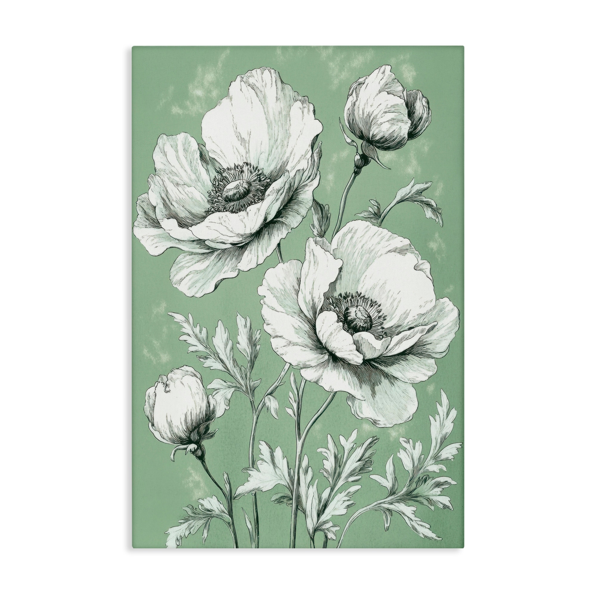 Stupell Soft Green Poppy Floral Canvas Wall Art Design by Petal Prints Design