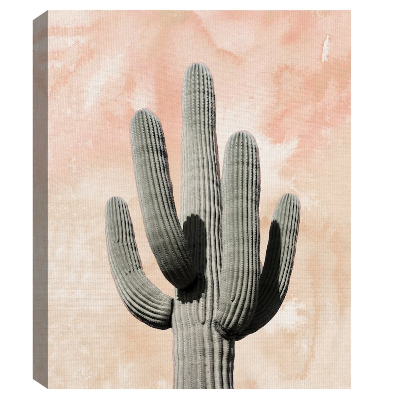 Desert Wash Coral II Canvas Art Print