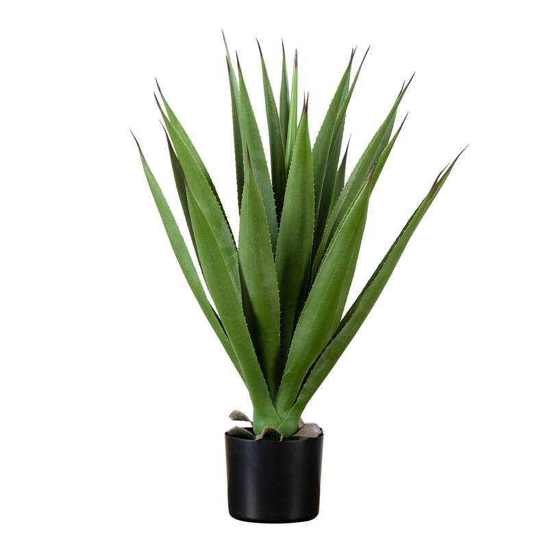 Agave Artificial Plant in Nursery Planter - 28" - Green