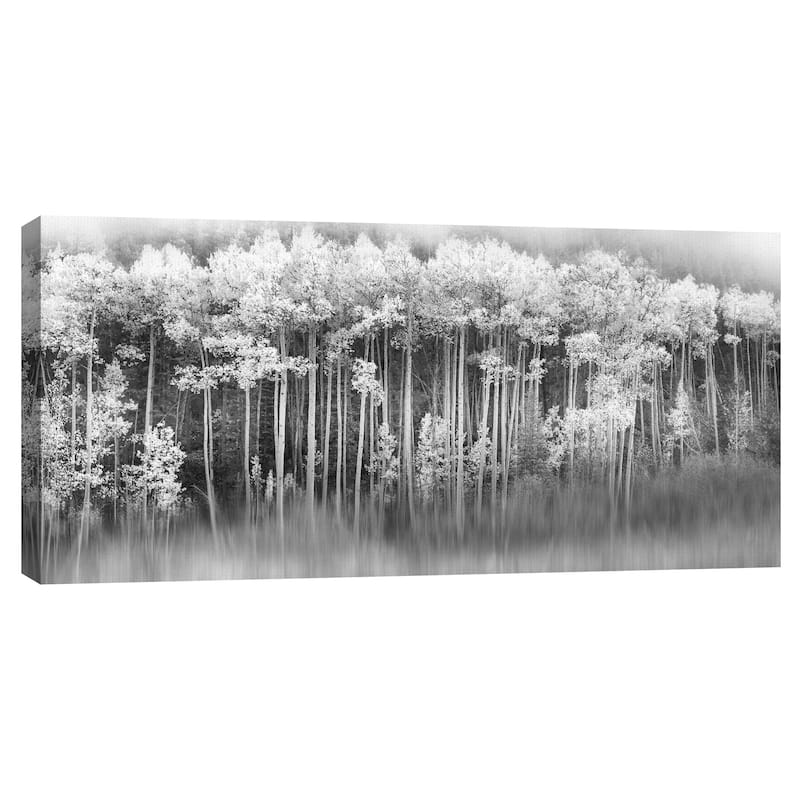 Dreamy Aspen by Danita Delimont Canvas Art Print