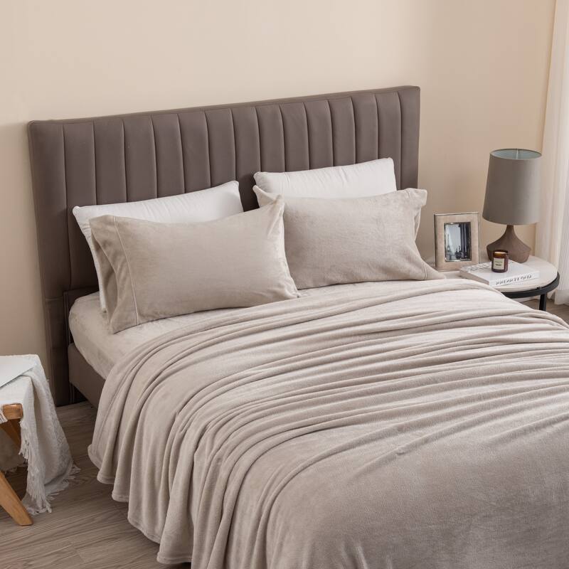Great Bay Home Extra Soft Cozy Velvet Plush Solid Bed Sheet Set - Light Grey - Queen