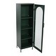 preview thumbnail 41 of 51, Solstice Metal Cabinet with 3 Adjustable Storage Shelves and Arched Glass Door