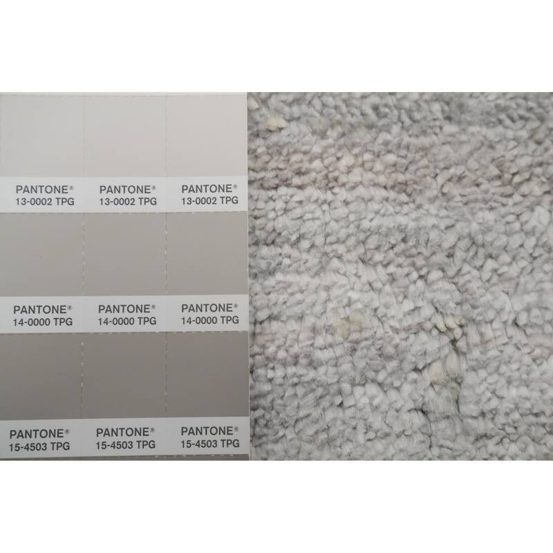 Hand Knotted Oriental Viscose Silk Carpet Tribal Animal Pictorial Greys & Charcoal Gabbeh Area Rug - 8' 8'' X 6' 2''