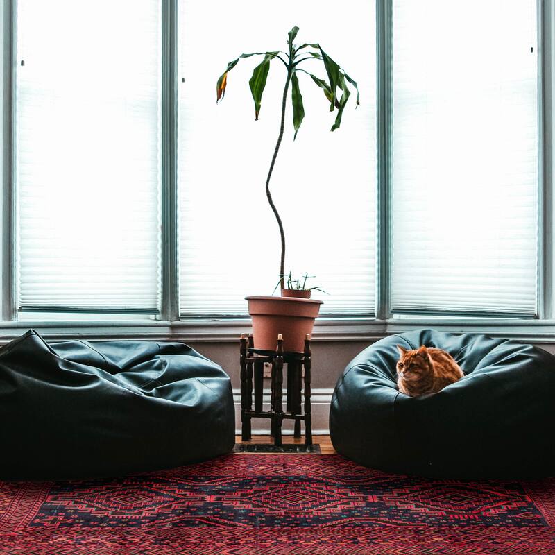 ECARPETGALLERY Hand-knotted Teimani Navy Wool Rug - 3'8 x 6'4