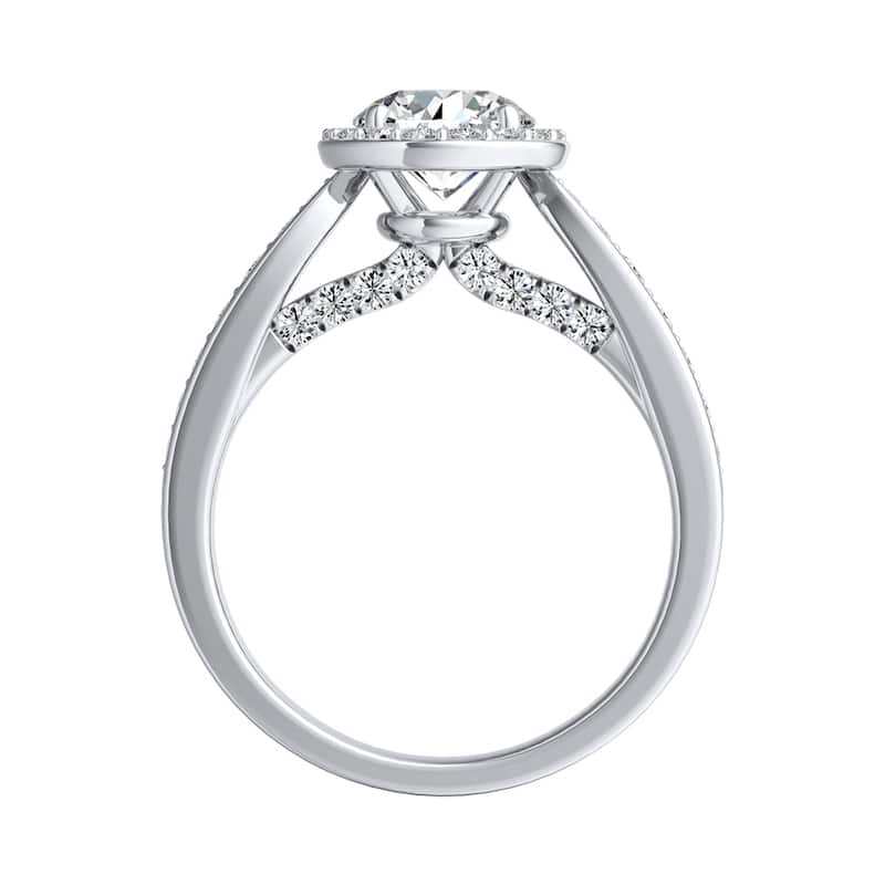 Auriya 14k Gold 3/4ct Round Moissanite Halo Diamond Engagement Ring 1/2cttw