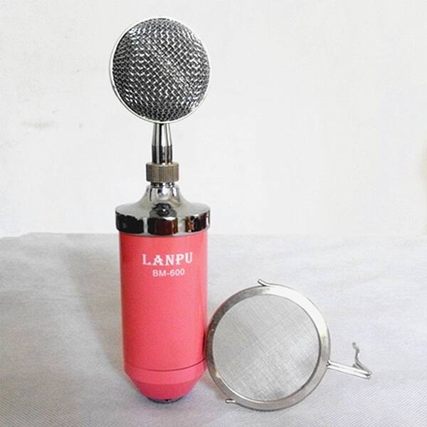 Shop Professional Capacitance Computer Sound Record
