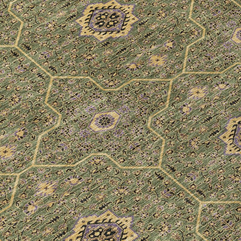 Machine Washable Indoor/ Outdoor Traditional Mika Chantille Rug