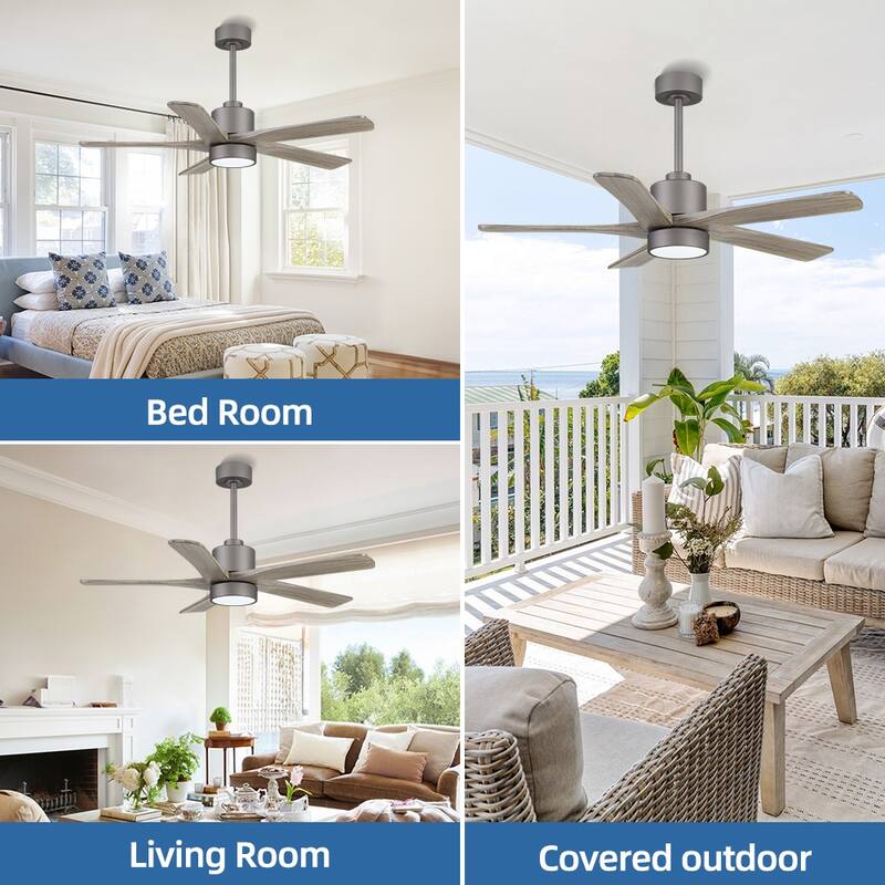 WINGBO 54" and 64" 5 ABS Blades DC Motor Indoor Ceiling Fan with Light & Remote