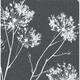 NextWall One O'Clocks Botanical Peel and Stick Removable Wallpaper - 20.5 in. W x 18 ft. L - Charcoal